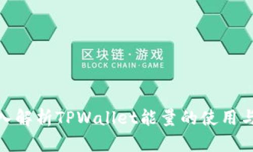 : 深入解析TPWallet能量的使用与管理