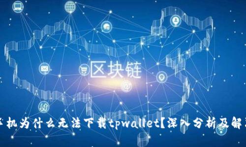 苹果手机为什么无法下载tpwallet？深入分析及解决方案