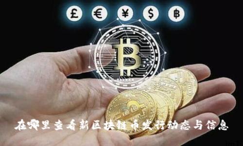 在哪里查看新区块链币发行动态与信息