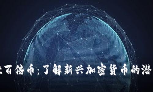 TPWallet百倍币：了解新兴加密货币的潜力与风险