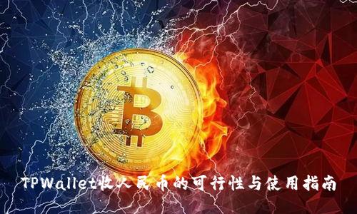 TPWallet收人民币的可行性与使用指南
